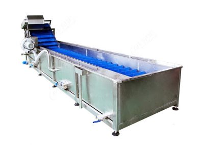 Cleaning and Pre-processing Equipment for Fruits and Vegetables